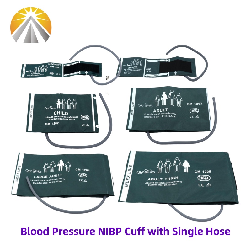 Six Sizes Available Neonates C - Dual Monitor Stand 评论和价格